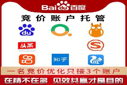 SEM竞价代运营实战技巧与案例